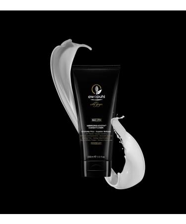 Paul Mitchell Awapuhi Wild Ginger Mirrorsmooth Conditioner - Moisture for Dry Hair 200ml | Glossy Hair Care - Buy Online on GoSupps.com