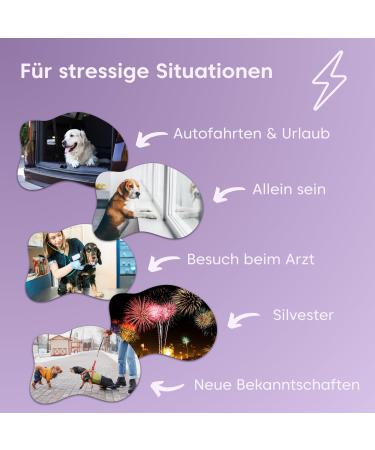 Pfot Buddies Seelenyoga - Soothing Natural Snacks for Dogs with Valerian & Johanniskraut | Stress Relief for Travel & New Year's Eve - Buy Online on GoSupps.com