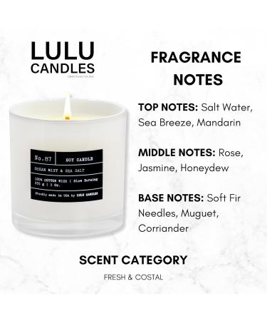 Lulu Candles Ocean Mist & Sea Salt - Luxury Scented Soy Candle | Hand Poured 9 Oz | Highly Scented & Long Lasting | Shop Internationally - Buy Online on GoSupps.com