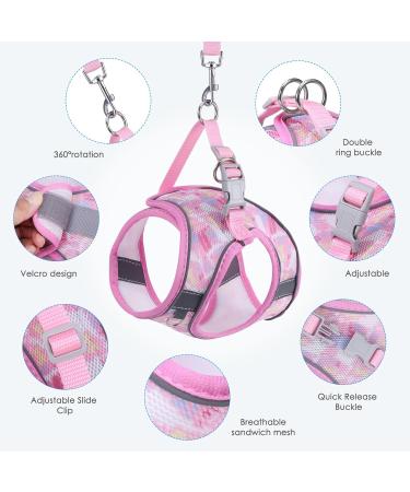 BriFit Cat Dishes with 150cm Leash - High Quality Breakfast Set for Cats & Small Dogs (Pink XS) - Perfect for Pets 6.61-1lb - Buy Online on GoSupps.com