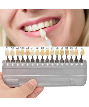 16 Colors Teeth Whitening Shade Guide | Porcelain Tooth Bleaching Chart for Professionals & Home Use - Buy Online on GoSupps.com