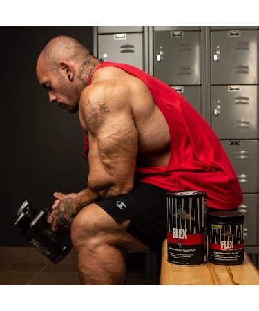 Animal Flex Powder: Complete Joint Support Supplement with Collagen, Turmeric, Glucosamine & Chondroitin - 30 Scoops Blue Raspberry - Buy Online on GoSupps.com