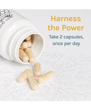 Host Defense CordyChi Capsules - Stress & Fatigue Support Supplement with Cordyceps and Reishi - 30 Count - Buy Online on GoSupps.com