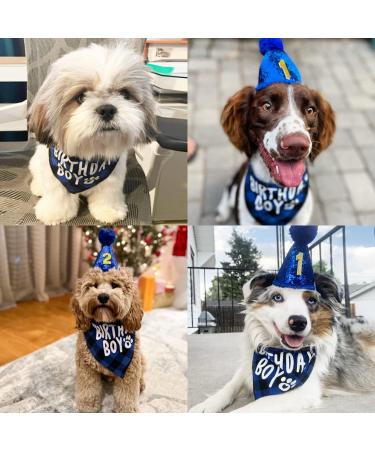 Boy Dog Birthday Party Supplies - Bandana Scarf and Hat with Number - Buy Online on GoSupps.com