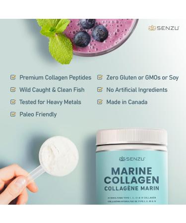 Premium Marine Collagen Powder | Wild-Caught from North Atlantic | Supports Hair Nail Skin Health Pure Hydrolyzed Form Tasteless - 250g - Made in Canada - Buy Online on GoSupps.com