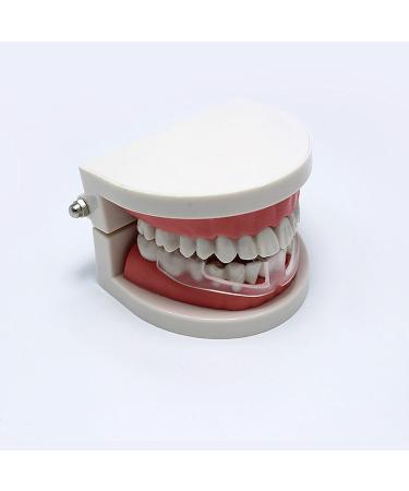 Toyofmine Tooth Grinding Storage Case Hot Dental Mouth Guard Bruxism Splint Night Sleeping - Buy Online on GoSupps.com