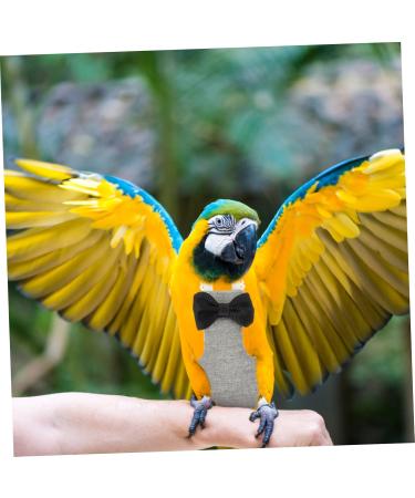 Shop Minkissy Flying Bird Diapers - Perfect for Small Animals Pigeons Macaws & Cockatoos | High-Quality Bird Harness & Costumes - International Shipping Available - Buy Online on GoSupps.com