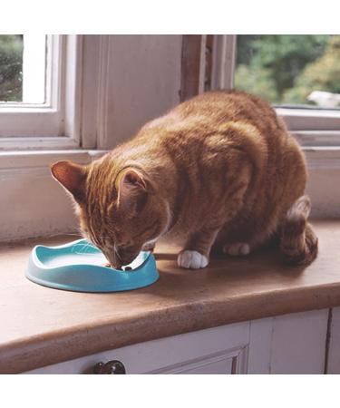 Beco Cat Bowl - Eco Friendly and Dishwasher Safe Bamboo Food and Water Bowl - Natural Natural 1 Count (Pack of 1) - Buy Online on GoSupps.com