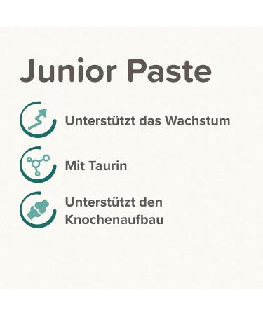 BEAPHAR Junior Paste for Cats (6 Weeks+) | With Calcium & Taurine | Supports Growth | 0% Added Sugar | 100g - Buy Online Now! - Buy Online on GoSupps.com