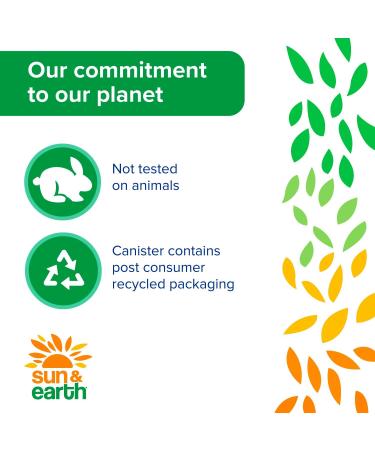 Buy Sun & Earth All Purpose Cleaner Wipes - Bulk Pack of 6 | 480 Plant-Based Natural Citrus Scent Wipes for Safe Household Cleaning - Buy Online on GoSupps.com