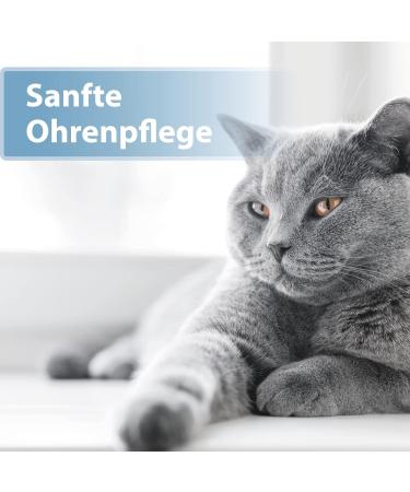 Felisept Ear Care Finger Pads for Cats - 50 Pieces | Hygiene & Ear Cleaner for Cat Ears | Intuitive Cleaning for Ear Mites & Care - Buy Online on GoSupps.com