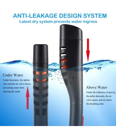 Full Face Snorkel Mask with Anti-Fog Wipes | 180 Panoramic HD View | Anti-Leak Dry Top Set for Snorkeling | Adults & Kids | Black & Blue | Large-X-Large - Buy Online on GoSupps.com