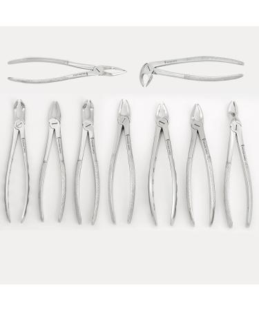 Stainless Steel Tooth Extraction Forceps Set - 10pcs Dental Extraction Tools for Dentists - Premium Instrument Kit for Effective Tooth Removal - Buy Online on GoSupps.com