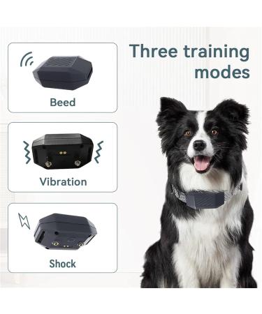 Classic Nylon Dog Collars - Breathable Waterproof & Easy to Handle for All Sizes - Buy Online on GoSupps.com