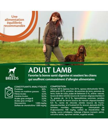 Wellness Core Lamb Natural and Grain-Free Dog Food for All Sizes Lamb 10 kg - Buy Online on GoSupps.com