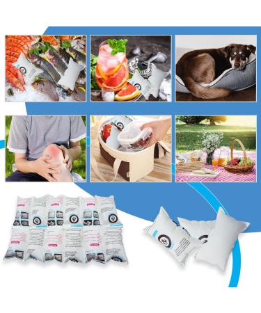 Flexible Ice Blanket Sheets for Shipping Frozen Food 42 OZ Each Pack of 6 Sheets - Buy Online on GoSupps.com