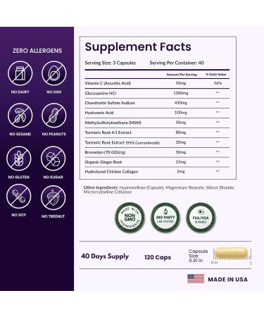ForestLeaf Glucosamine Chondroitin MSM Joint Supplement Complex - 1200mg - 120 Caps - Buy Online on GoSupps.com