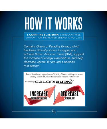 Siren Labs L-Carnitine Elite Burn Liquid Keto Fat Burner - Strawberry Blast 3000mg - Metabolism Activator for Fat Loss & Energy Boost (32 Servings) - Buy Online on GoSupps.com