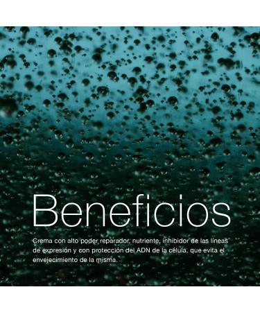  MAYSTAR Maystar Skincare | Synergy Lift Anti-Aging Cream | Moisturizing Face Cream with Lifting Effect | 50 ml - Buy Online on GoSupps.com