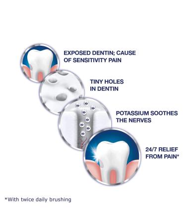 Buy Sensodyne Toothpaste Mint 4 Oz - Pack of 4 | Best International Shipping & Dental Care - Buy Online on GoSupps.com