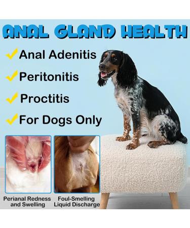 Anal Gland Support Supplement for Dogs 375G Dog Diarrhea Support Supplements Dog Analgland Digestive Support Supplement Treatment Chews & Healthy Bowel Function with Digestive Enzymes & Probiotics - Buy Online on GoSupps.com