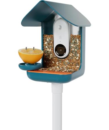 Bird Buddy Original 3-in-1 Feeding Set | Water Fountain Fruit Skewer & Jelly Tray - Blue Color | International Shipping - Buy Online on GoSupps.com