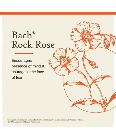 Bach Rock Rose Flower Remedy 10mL - Non-Alcohol Formula for Courage, Holistic Wellness & Stress Relief | Vegan Homeopathic Essence - Buy Online on GoSupps.com