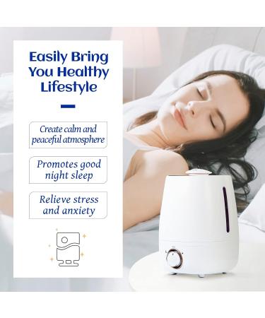 HIQILI Lavender Essential Oil 100ml - 100% Pure & Undiluted for Sleep, Aromatherapy, Skin Care, Hair Growth - Calming & Relaxing Formula - Pack of 1 - Buy Online on GoSupps.com