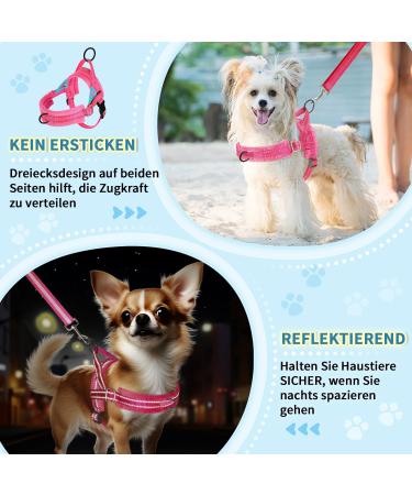Eyein No-Pull Dog Harness & Leash - Soft Padded Reflective Adjustable for Puppies Small & Large Dogs Cats - Pink Size L - Buy Online on GoSupps.com