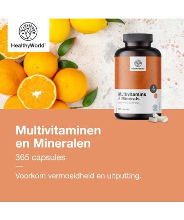 Be Healthy Group doo Multivitamins and Minerals 25 Vitamins and Minerals 365 Capsules 1 Year Supply Vegetable Capsules Immune System Energy Boost Valuable Vitamins from A to Z - Buy Online on GoSupps.com
