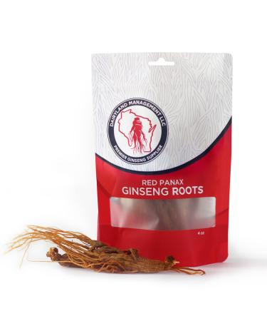 Dairyland Management LLC Red Panax Ginseng Root - 4 oz Pack of Korean Panax Ginseng Root - Authentic Panax Ginseng - Non-GMO Gluten Free Ginseng Root - Ideal for Use in Soup Tea 4 Ounce (Pack of 1)