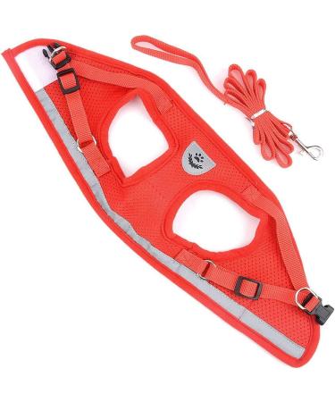 Zunea No Pull Dog Harness for Small Dog Reflective Breathable Soft Mesh Padded Step-in Vest Harness Leash Set Puppy Girl Dog Cat Lead for Daily Walking Running Training - (Red S) S (Pack of 1) red - Buy Online on GoSupps.com
