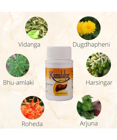 Kamalahar Capsules - Ayurvedic Liver Support & Detox - 100 Capsules x 6 Packs (300 Servings) - Buy Online on GoSupps.com