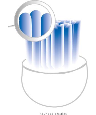 Proficare PC-EZS 3000 Electric Sound Toothbrush | Optimal Dental Care & Oral Hygiene | Includes 2 Butsiessents | Battery Operated | White-Blue - Buy Online on GoSupps.com