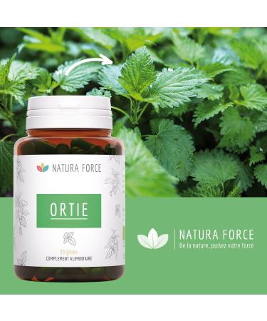 Organic Nettle Capsules - Pure Organic Spicy Nettle Leaf Extract - Rich in Biologically Active Compounds - Made in France - 90 Vegetable Capsules - Buy Online on GoSupps.com
