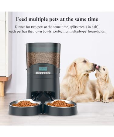 HoneyGuaridan Automatic Cat Feeder for 2 Cats - 6.5L/4.5L Pet Food Dispenser with Stainless Steel Bowl - 6 Meals - Blue - Buy Online on GoSupps.com