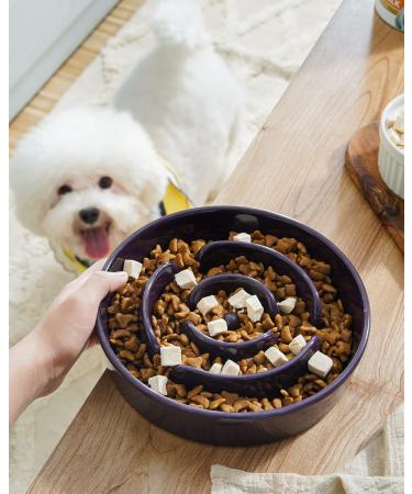 LE TAUCI Ceramic Slow Feeder Dog Bowl - Medium 1.5 Cups Maze Purple - Non-Slip & Chew-Resistant Puppy Food Bowl for Fast Eaters - Buy Online on GoSupps.com