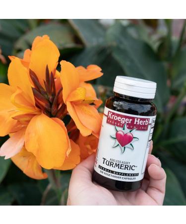 Kroeger Herb Products Turmeric 950mg Joint Support & Antioxidant Supplement - Vegetarian Non-GMO No Preservatives or Fillers Made in USA - Buy Online on GoSupps.com