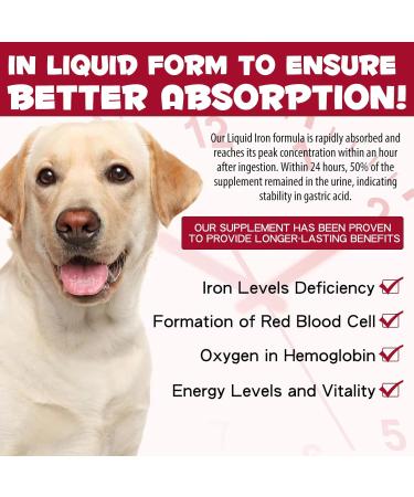 Liquid Iron Supplements for Dogs - with Folate and B12 Supplements Anemia Promotes Blood Health Oxygen Supply and Blood Cell Formation Increase Low Energy Levels Lethargy - 2 oz - Buy Online on GoSupps.com