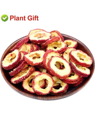 PlantGift Hawthorn Berry 80G/2.82oz China Medicinal Herb (Shanzha/Dried Hawthorne) Dried Bulk Health Tea Hawthorn Berries - Buy Online on GoSupps.com