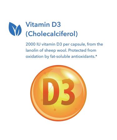 Allergy Research Group Super D3 - Bone & Immune Support - 60 Vegetarian Capsules - Buy Online on GoSupps.com