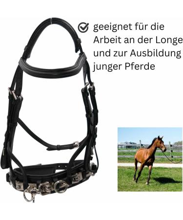 Buy AMKA Leather Cavesson with Bit Buckle - Premium Quality & Comfort for Equine Enthusiasts | International Shipping Available - Buy Online on GoSupps.com