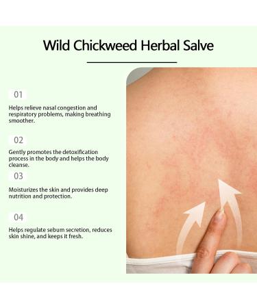 Wild Milkweed Herbal Balm Kowsunary Organic Milkweed Herbal Balm Cream Milkweed Herbal Ointment (3pcs) - Buy Online on GoSupps.com