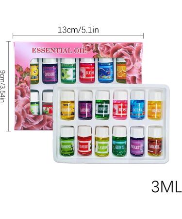  Naqqios Aromatherapy Oils | Set of 12 Water-Soluble Aromatic Essences - Natural Water-Soluble Oils for Humidifiers 3 ml Long-Lasting Air Freshener for Bedrooms and - Buy Online on GoSupps.com