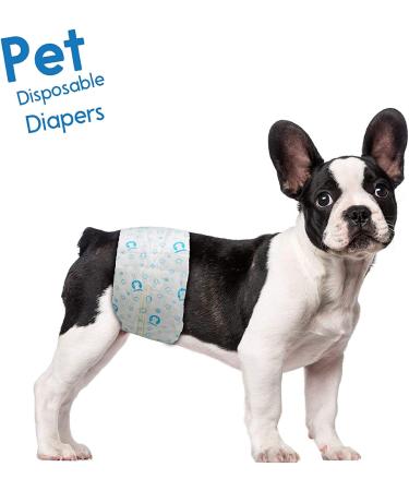 Scratche disposable diaper for male super absorbent and leakproof exciting urination or incontinence 40 counters small white Ptdiapm40S S - Buy Online on GoSupps.com