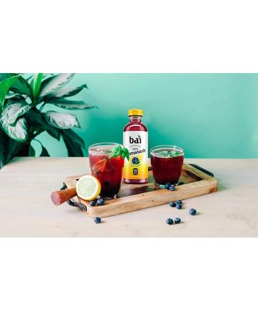 Bai Flavored Water Burundi Blueberry Lemonade - Antioxidant Infused 18oz Bottles (Pack of 12) - Buy Online on GoSupps.com