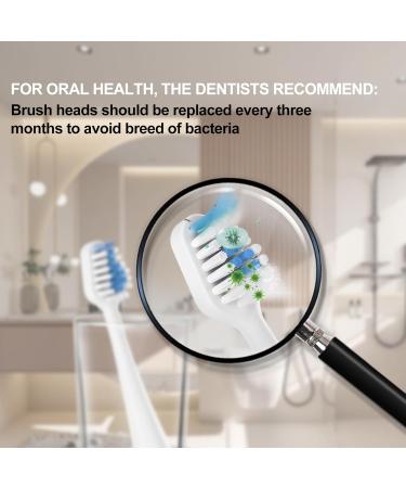 Replacement Toothbrush Heads for Waterpik & AquaSonic Duo | 10 Count | Best Electric Toothbrush Accessories - Buy Online on GoSupps.com