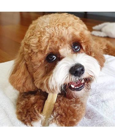 Super Himalayan Dog Chew-All Natural Hard Cheese Himalayan Dog Treats-Long Lasting Dog Yak Chews Made in Europe-Extra Large(XL) for Dogs 25-35 kg Extra Large(XL)-Dogs 25-35 kg - Buy Online on GoSupps.com