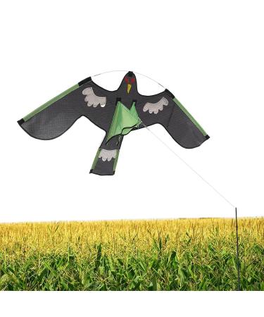 Aizuoni falcon bird dragons spring reflective birds.