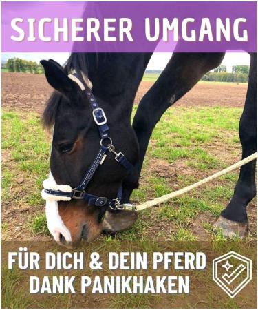 Buy Olive 1.60m Lead Rope with Panic Hook for Horses Ponies & Donkeys | Stylish Tie Rope Designs - Buy Online on GoSupps.com